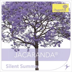 Silent Summer