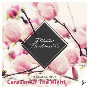 Caravan Of The Night